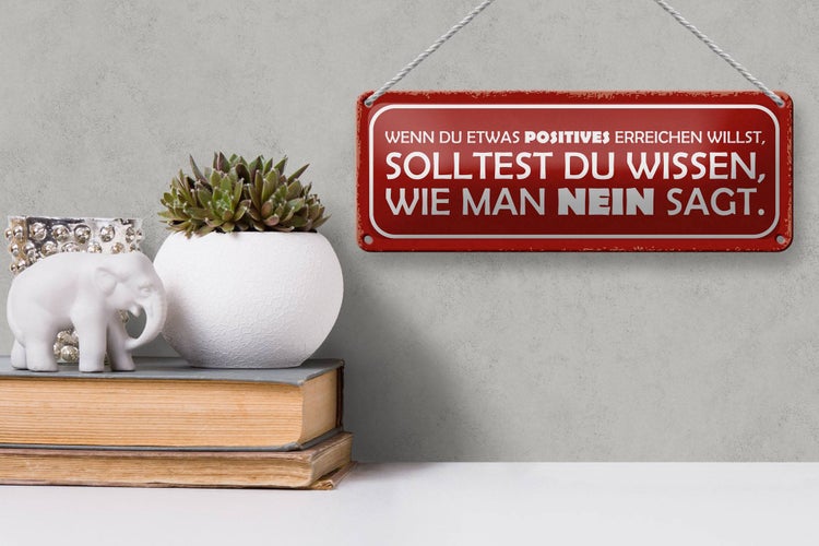 Blechschild Spruch 27x10cm sollst wissen wie man NEIN sagt Dekoration