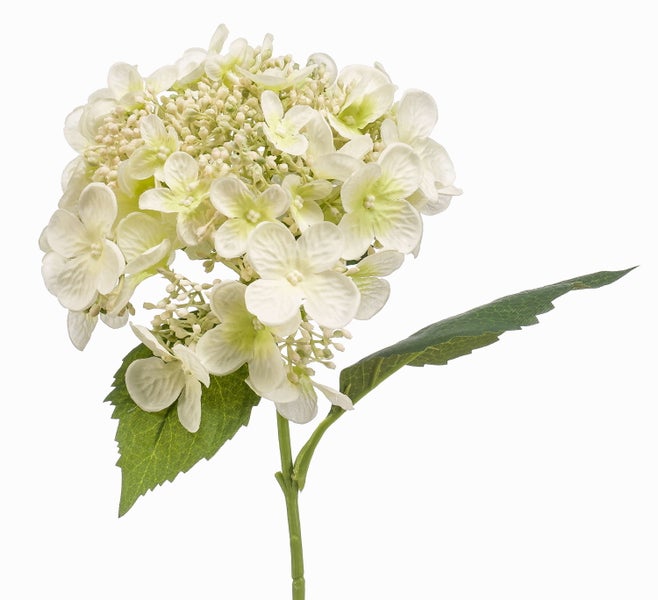 Künstliche Hortensie in Weiß mit grünem Stiel und gezackten grünen Blättern.