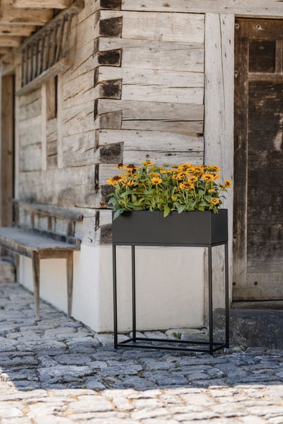 Schwarzer Metall-Pflanzkasten auf hohem Gestell mit gelben Blumen vor rustikaler Holzwand und Kopfsteinpflaster.