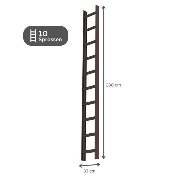 PROREGAL Dachleiter Braun 10 Sprossen
