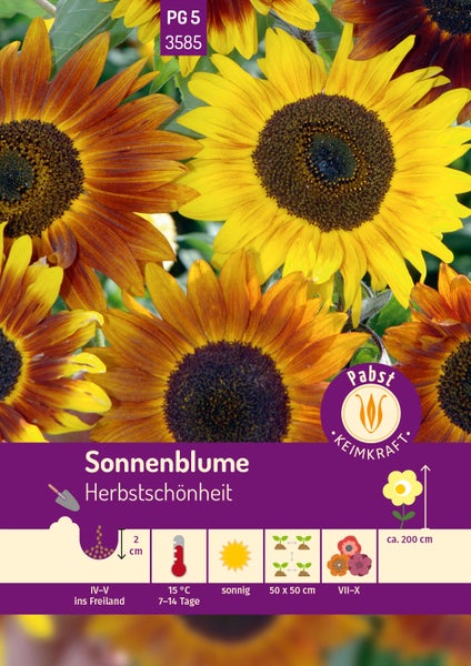 Samenpackung Sonnenblume Herbstschönheit von Pabst Keimkraft, Aussaat April bis Mai, sonniger Standort, Wuchshöhe circa 200 Zentimeter.