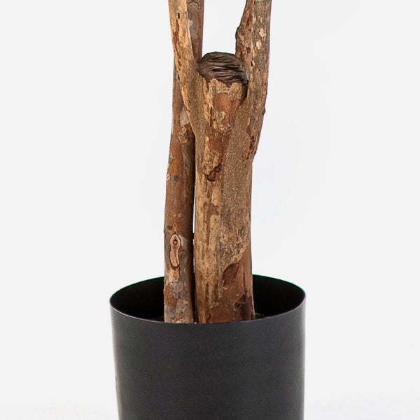 Detailansicht des strukturierten braunen Stamms einer Kunstpflanze in einem schwarzen Kunststofftopf.