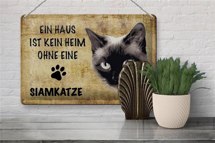 Blechschild Spruch 30x20cm Siamkatze Katze ohne kein Heim