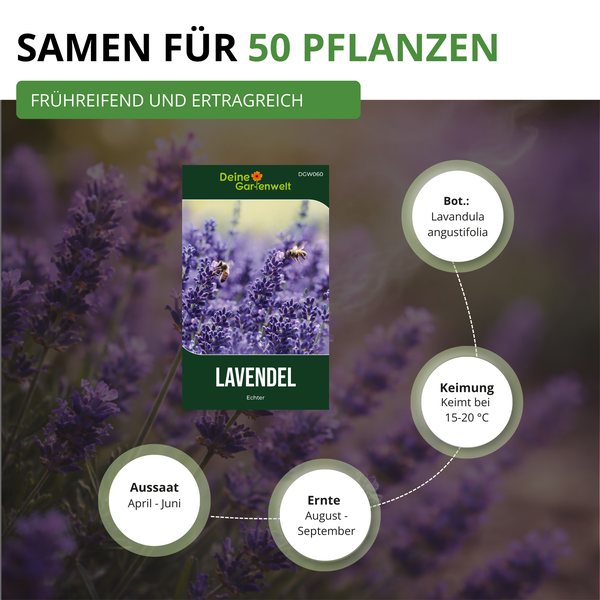 Samen für 50 Pflanzen Lavandula angustifolia, Deine Gartenwelt Logo. Aussaat April bis Juni, Ernte August bis September, Keimung 15 bis 20 Grad.