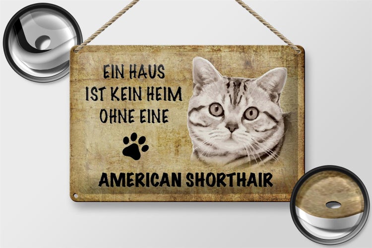 Blechschild Spruch 30x20cm American Shorthair ohne kein Heim