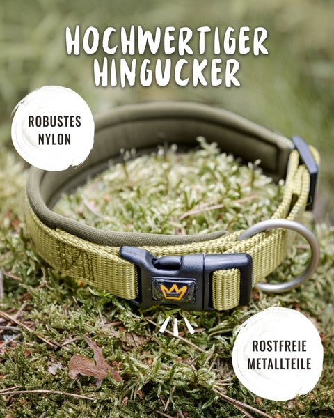 Hundehalsband aus robustem Nylon mit rostfreien Metallteilen