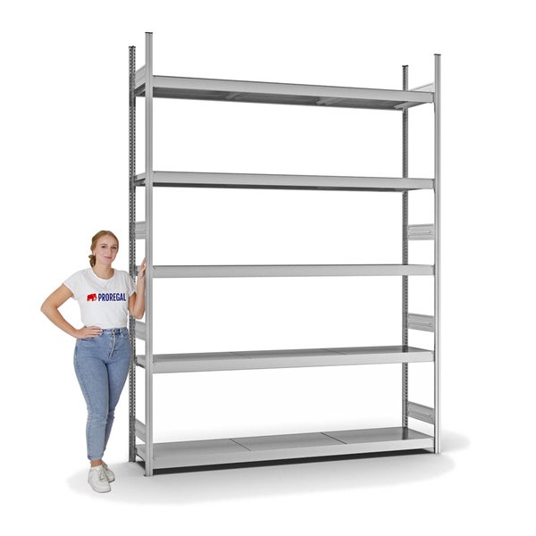PROREGAL Weitspannregal Stecksystem T-Profil Grundregal HxBxT 300x225x40 cm 5 Ebenen Stahlplatten Fachboden Fachlast 350 kg Verzinkt