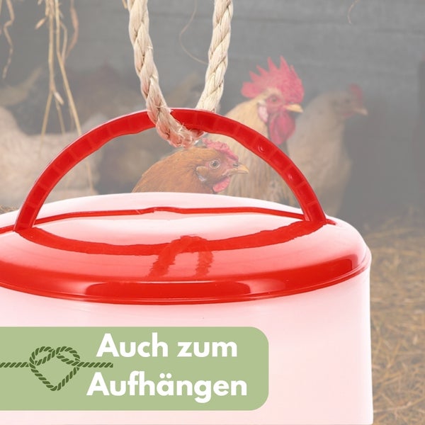Geflügeltränke aus Kunststoff mit Tragegriff und Aufhängevorrichtung im Hühnerstall