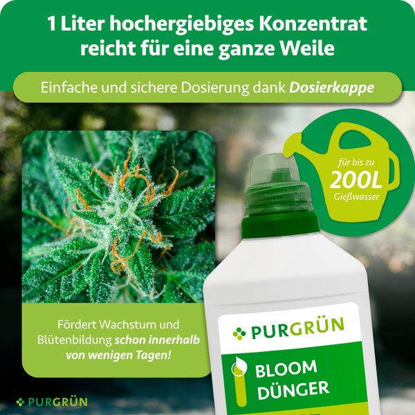 Purgrün Bloom Dünger Konzentrat, 1 Liter Flasche für bis zu 200 Liter Gießwasser, mit Dosierkappe, fördert Wachstum und Blütenbildung.