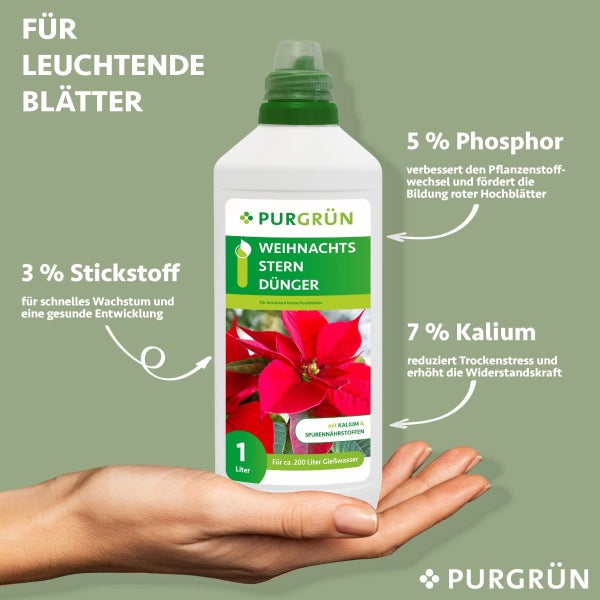 Purgrün Weihnachtsstern-Dünger 1 Liter