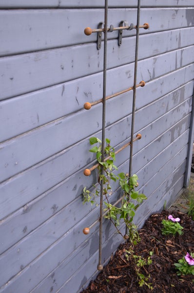 Rankgitter Tarent klein Metall 50 x 170 cm unbeschichtet