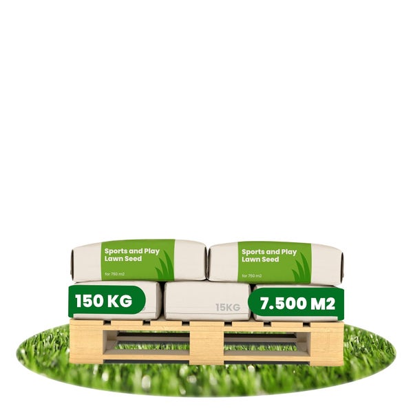 Palette mit Rasensamen für Sport- und Spielflächen