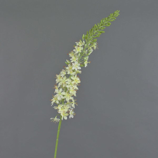 Künstliche Steppenkerze mit kleinen weißen Blüten und grünen Knospen.
