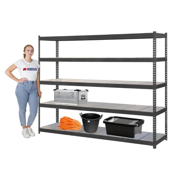 PROREGAL Schwerlastregal Metal Beast Five HxBxT 200 x 240 x 60 cm Fachlast 400 kg Anthrazit