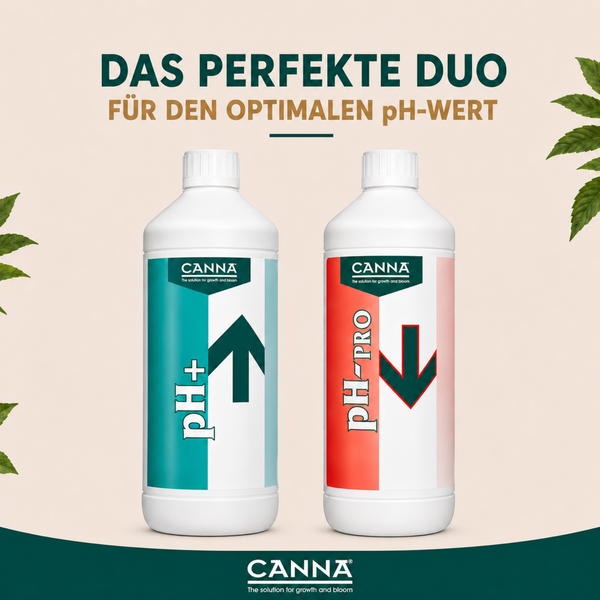 Zwei Canna Flaschen zur pH Wert Regulierung PH plus und PH pro für Pflanzenwachstum.