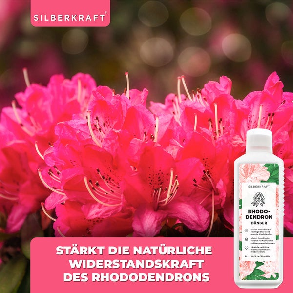 SILBERKRAFT Rhododendron Dünger – Für Rhododendren & Azaleen – 1 Liter