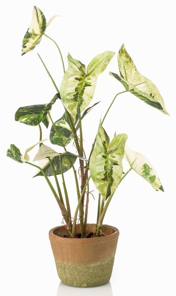Schwarzer Blumentopf aus Kunststoff mit Stielen einer Kunstpflanze.