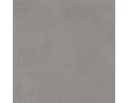 Wand- und Bodenfliese Portland plomb 81x81cm