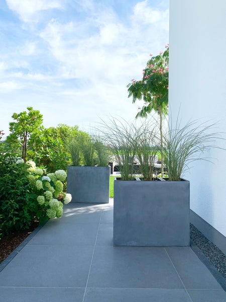 Modern gestaltete Terrasse mit zwei großen, quadratischen Pflanzkübeln in Beton-Optik, bepflanzt mit Ziergräsern, neben Hortensienbüschen.