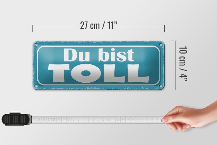 Blechschild Spruch 27x10cm Du bist toll Dekoration