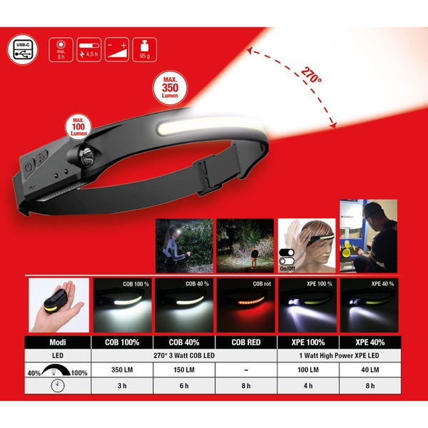 Nahaufnahme von Silberweidenpflanzen im Garten