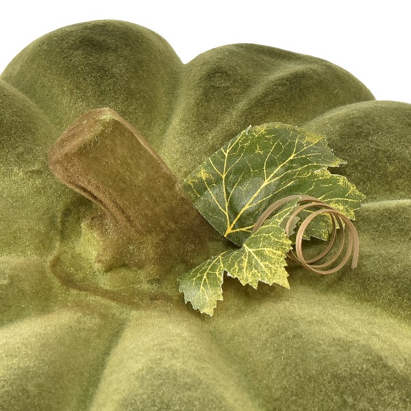 Dekorative Kürbisoberseite mit Stiel und Blättern.