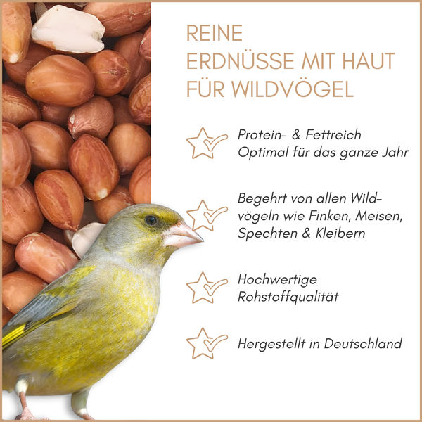 Erdnüsse mit Haut für Wildvögel und Grünfink