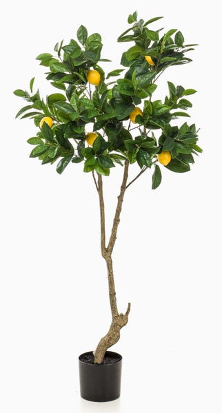 Künstliche Zamioculcas Pflanze im schwarzen Kunststofftopf, Detailansicht der Stiele.