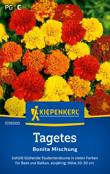 Kiepenkerl Saatgut Tagetes Bonita Mischung für Beet und Balkon