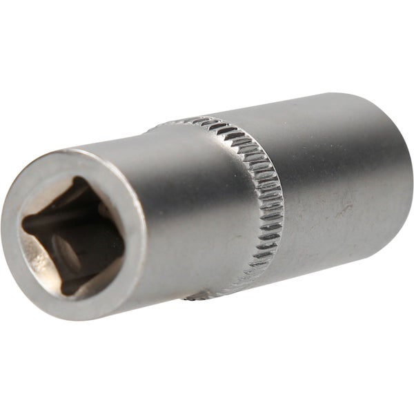 Holzschraube mit Torx-Antrieb und Fisch-Symbol