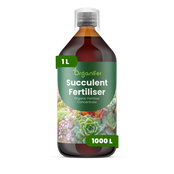 Organifer Bio-Flüssigdünger für Grünpflanzen Konzentrat in der 5 Liter Flasche.