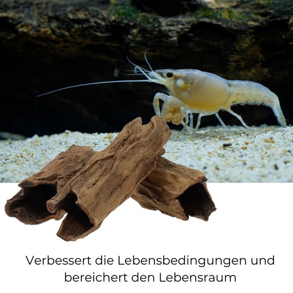 Aquarium Deko Höhle Röhre Aquariendeko Wurzel Ast Holz Ablaichhöhle Ablaichröhre Fisch Krebs Wels Laichröhre Tonröhre Laichhöhle