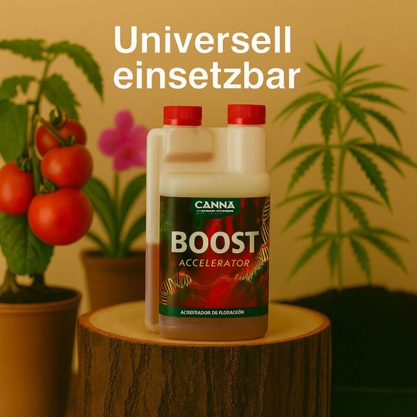 Canna Boost Accelerator Pflanzendünger in Kunststoffflasche auf Holzstumpf neben Tomatenpflanze und Hanfpflanze.