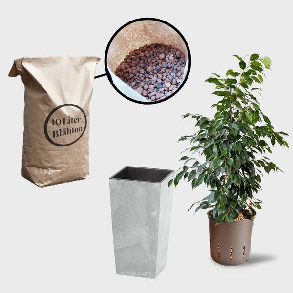 Pflanzenszene mit einem Sack Blähton 10 Liter, einem eckigen Pflanzgefäß und einer Zimmerpflanze im Topf.