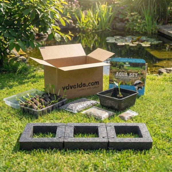 Teichpflanzen Set in Kartonverpackung mit Pflanzkörben und Substrat vor einem Gartenteich