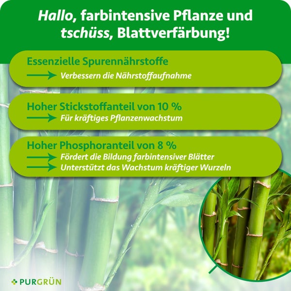 Infografik zu Pflanzendünger für Wachstum und Blattfarbe mit 10 Prozent Stickstoff, 8 Prozent Phosphor und Spurennährstoffen. Purgrün Logo.