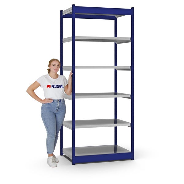 PROREGAL Fachbodenregal Stecksystem Vierkant-Profil Grundregal HxBxT 250 x 102,5 x 60 cm 6 Ebenen Einseitige Bauart Fachlast 200 kg Enzianblau
