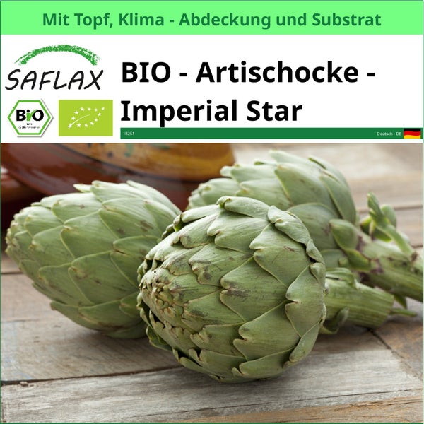 SAFLAX Garden to go - BIO - Artischocke - Imperial Star - Cynara scolymus - 5 Samen - Mit Topf, Klima - Deckel und Anzuchtsubstrat