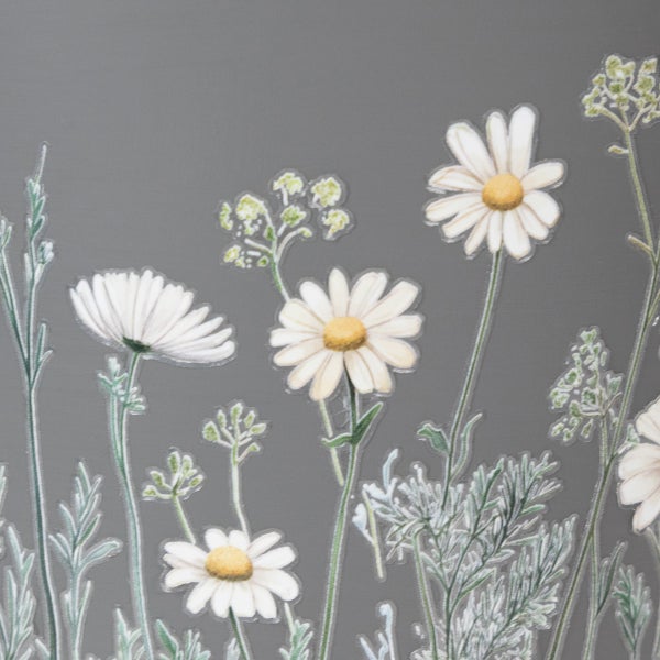Dekorativer Aufkleber mit weißen Gänseblümchen und grünen Wildkräutern. Selbstklebende Folie mit botanischem Blumenmotiv.