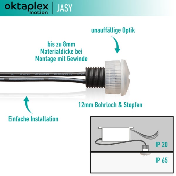 Nahaufnahme von rosa und lila Sternblumen im Garten.