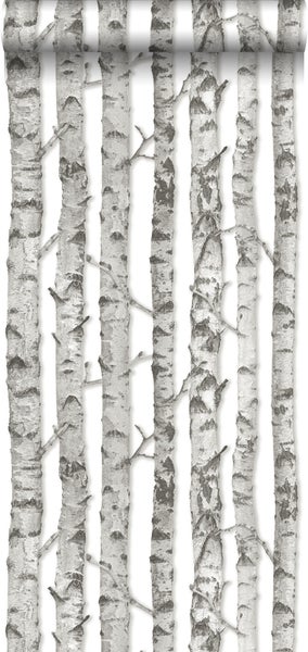 Walls4You Tapete Bäume Grau und Weiß - 53 cm x 10,05 m - 935295