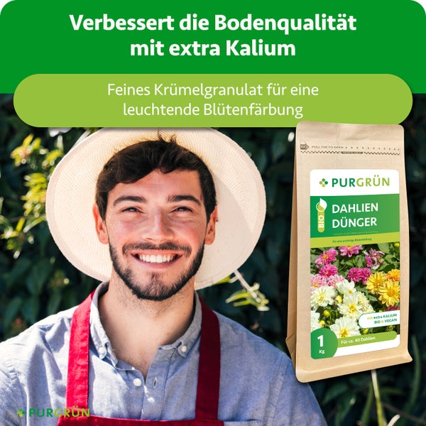 Purgrün Logo auf einer Infografik zur Wirkung von Kalium gegen Welken, Stickstoff für Pflanzenwachstum und Phosphor für die Blütenbildung.