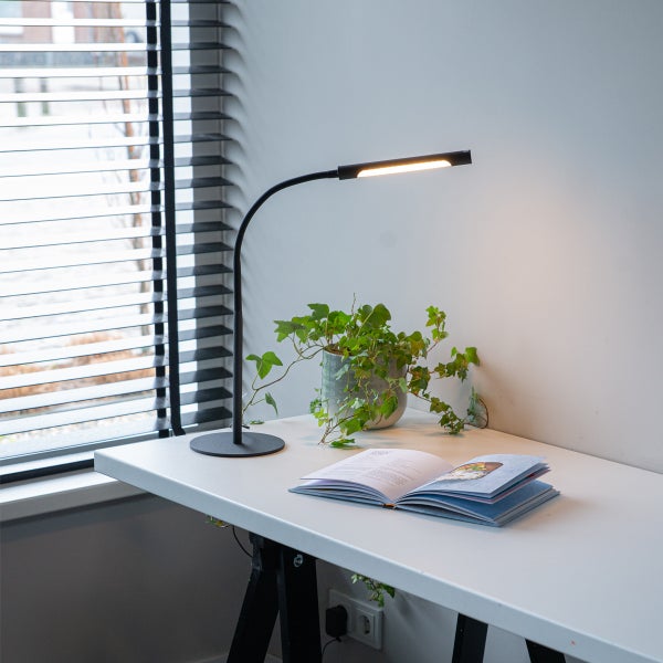 Schreibtisch mit LED Lampe, Zimmerpflanze und aufgeschlagenem Buch