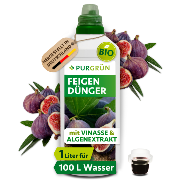 PURGRÜN Bio Feigendünger mit Vinasse und Algenextrakt, flüssiger Spezialdünger in einer 1 Liter Flasche, hergestellt in Deutschland.