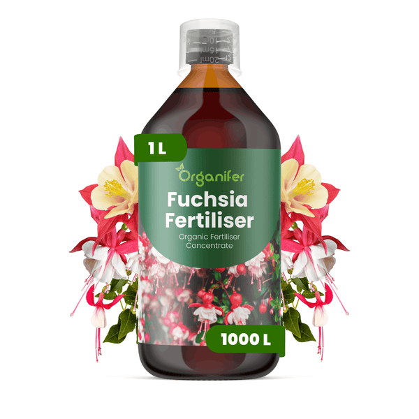 Organifer Fuchsien-Dünger, organisches Düngerkonzentrat, 1 Liter Flasche für 1000 Liter Dünger.