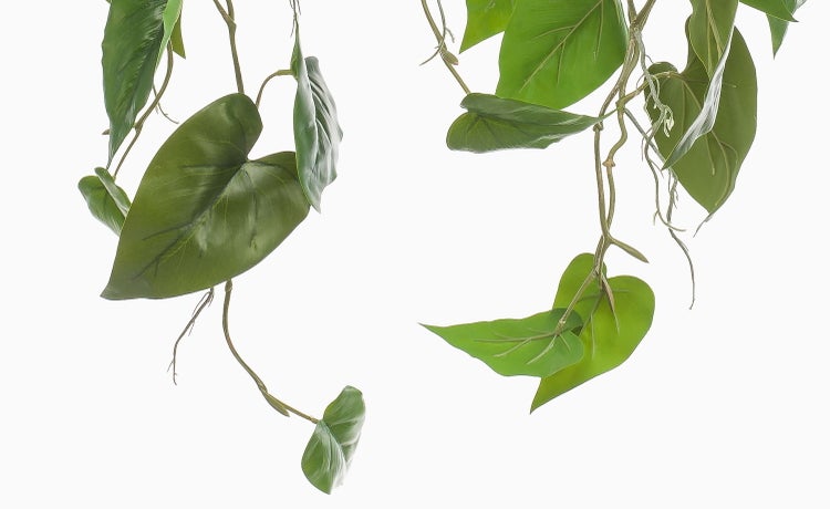 Künstliche Hängepflanze mit langen schmalen grünen Kunststoffblättern in Nahaufnahme.