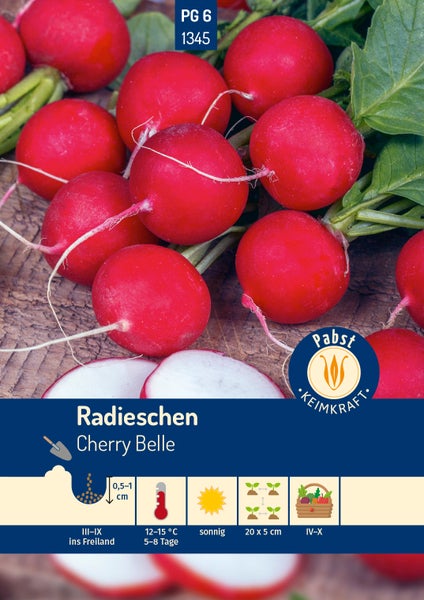 Saatgutpackung für Radieschen Cherry Belle von Pabst Keimkraft mit Abbildung roter Radieschen und Anbauinformationen zu Aussaat und Ernte.