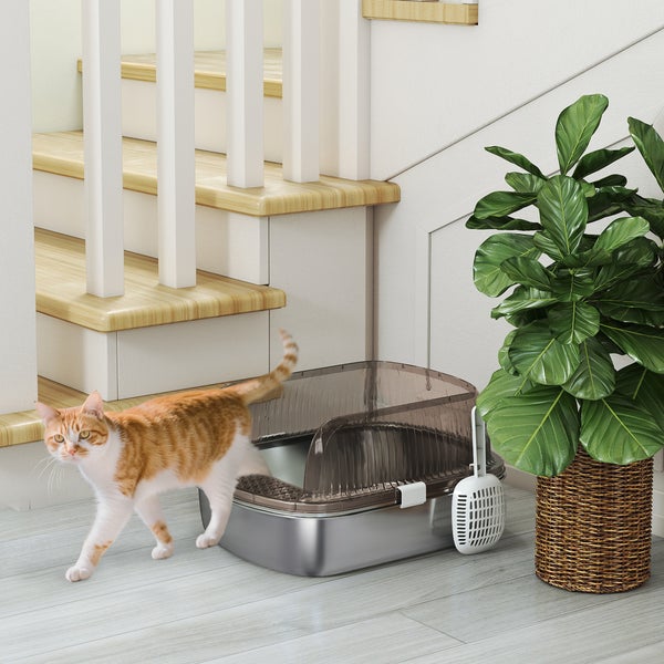 Moderne Katzentoilette aus Edelstahl mit transparenter Haube neben einer Treppe, einer Zimmerpflanze und einer Katze in einem hellen Raum.