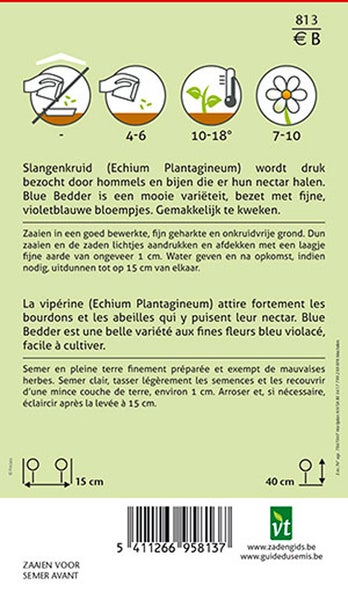 Informationen zur Aussaat und zum Anbau von Natternkopf-Samen