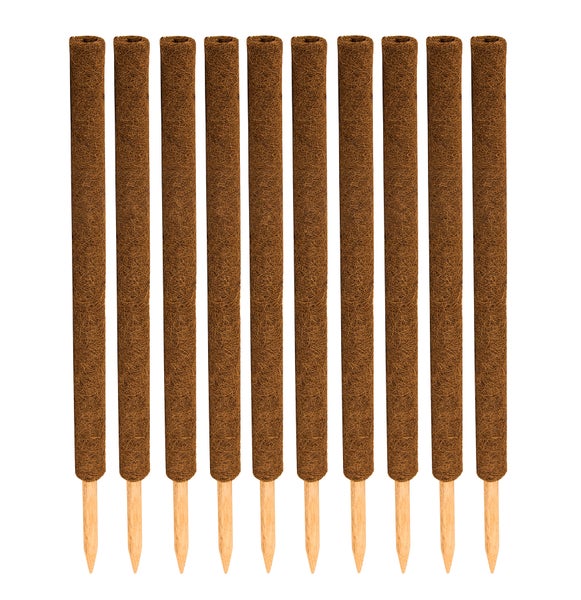 BigDean 10er Set Pflanzstäbe Kokos 80 cm - Monstera Rankhilfe Rankstäbe Stab Moosstäbe Pflanzenstäbe Kokosstäbe für Pflanzen - aus natürlicher Kokosfaser - verlängerbar